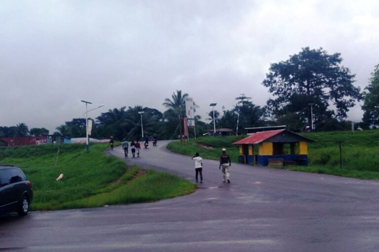 Common Border Post Linking Liberia And Sierra Leone Could Boost Trade, Revenue