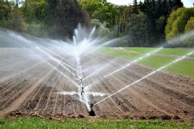 Pandemic Relief for Farmers of Color