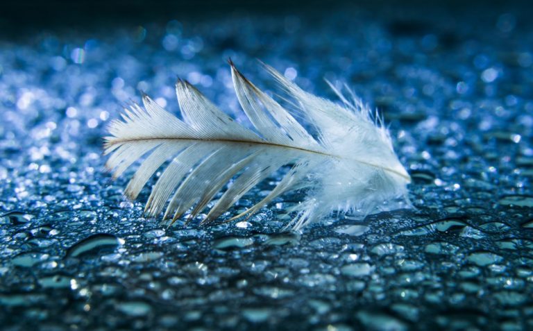 How to Write Poetry: 11 Rules for Poetry Writing Beginners