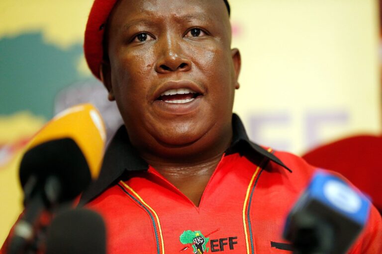 Why Julius Malema Was Here