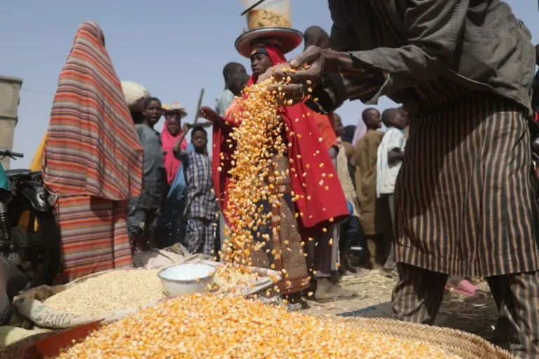 Nearly 55 Million Face Hunger in West and Central Africa, UN warns