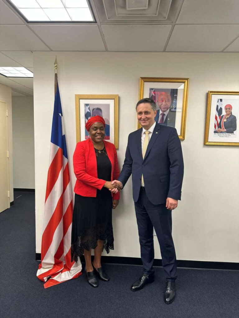 Liberia: Bosnia President Hold Talks With Top Liberian Diplomat