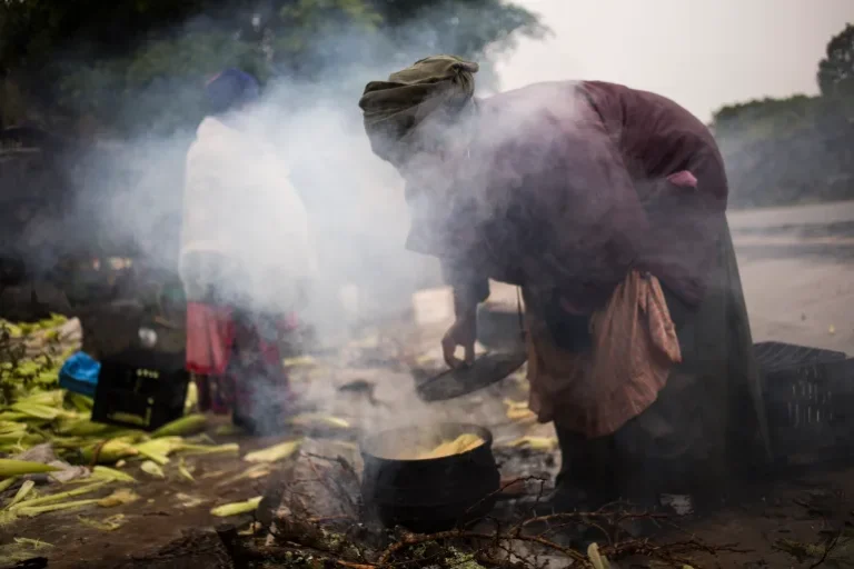 Energy Summit Seeks to Curb Cooking Habits that Kill Millions Every Year