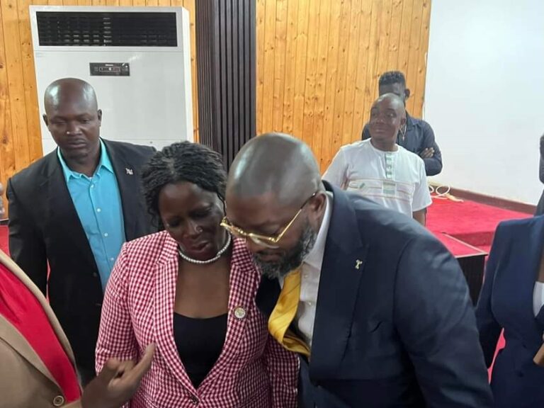 Liberia: Senate’s Two-Year Audit Plan Criticized