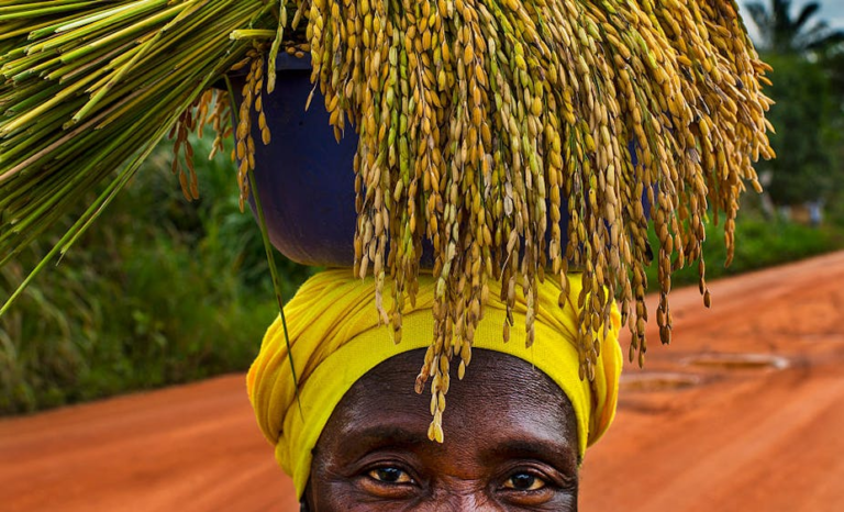 Liberia: Women & Food scarcity in Liberia