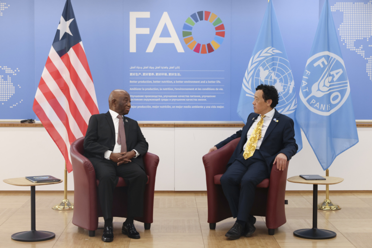 Liberia:  Boakai Talks Limiting Food Imports