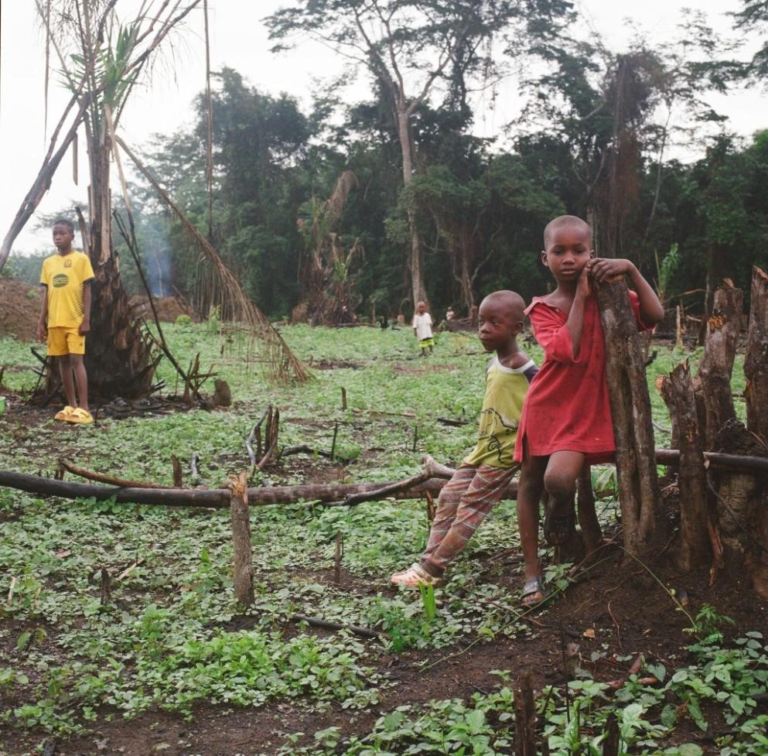 Liberia: Forest Dwellers Fear Losing Livelihood Amidst Carbon Credit Negotiation