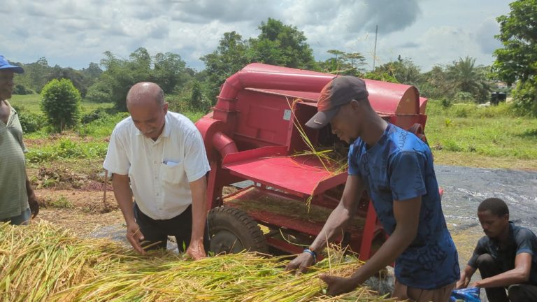 Liberia: Western Cluster Empowers Local Farmers
