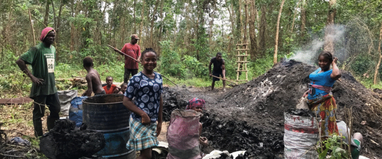 Liberia: Household Income and Expenditure Survey Launched
