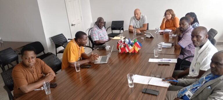 EU Launches Communication Initiative to Boost Rural Electrification in Liberia’s South-East