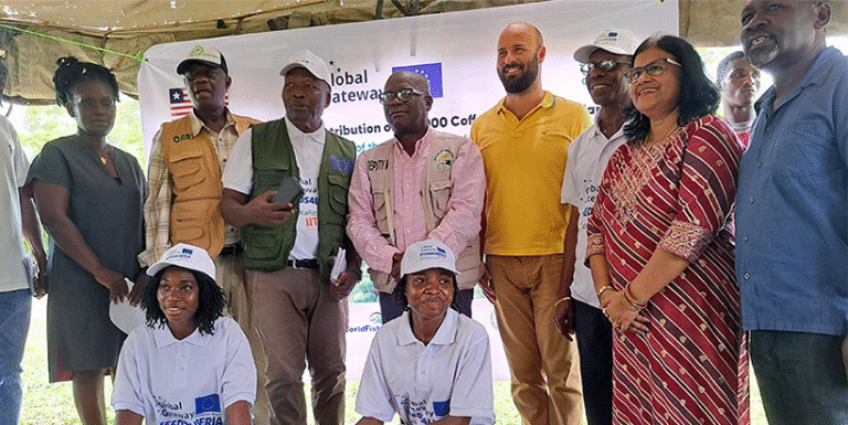 Seeds4Liberia: IITA Boosts Coffee Revival