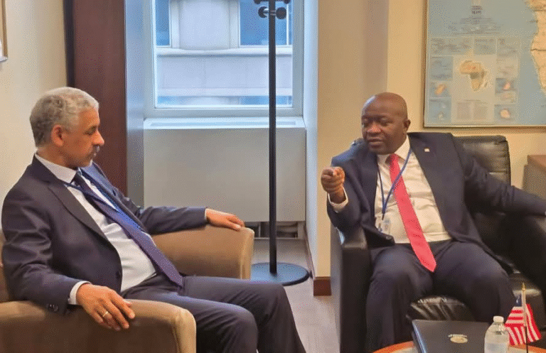 Liberia: Man who Helped Bankroll Gbarnga-Mendikorma Highway Heads AfDP