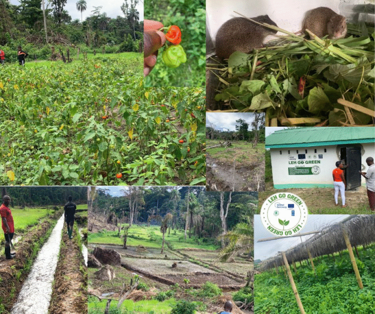 Liberia: FDA Evaluates EU’s $4.9 Million Green Project
