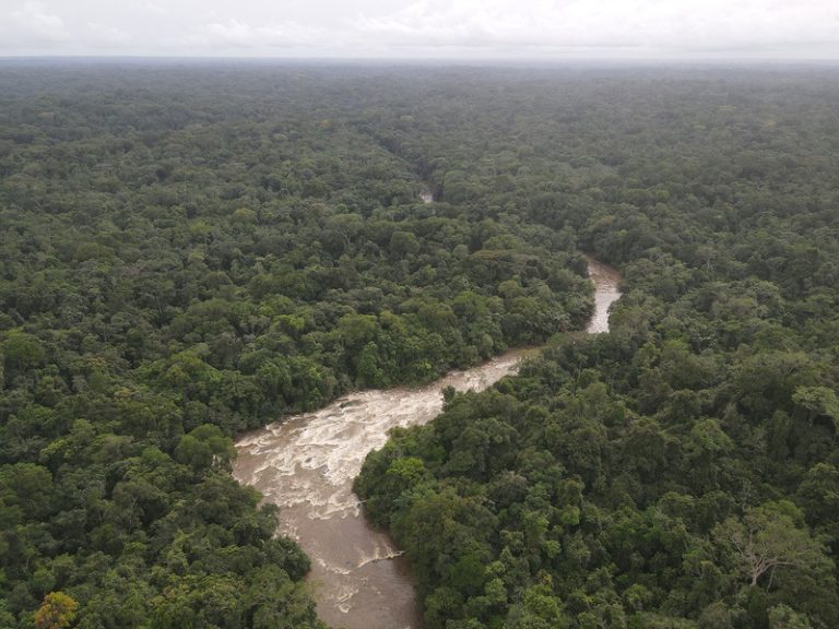 Liberia: Removing Sapo National Park’s Protected     Status Dangerous, EPA Chief Warns