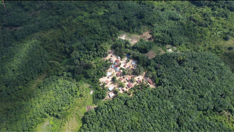 Liberia: ‘Let’s understand the value of the forest’ says Silas Siakor