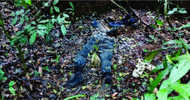 Liberia: 15-Year-Old Ivorian    Beheaded In River Gee!             Amid Cocoa Farming Dispute