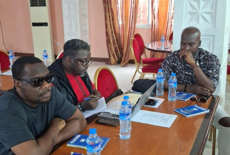 Liberia: Reviewing Universal Access Fund Regulations to Boost Rural Connectivity