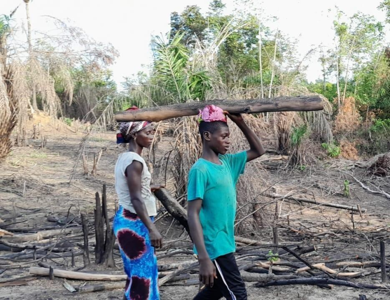 Poor Pay, Elites Benefit – Liberians and Businesses Set to Finance 60% of $1.2 Billion 2026 Budget