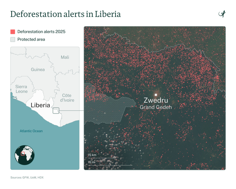 Liberia: Cacao Rush Fuels Conflict In Southeast