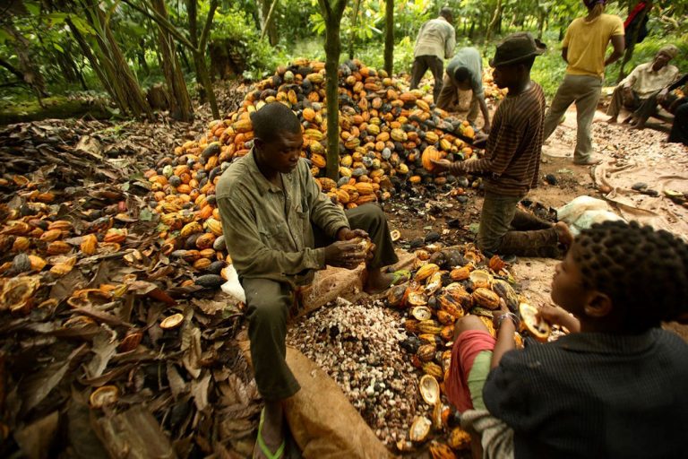Value Addition: Liberia has Abundant Natural Resources, but most of these are Exported in Raw Form