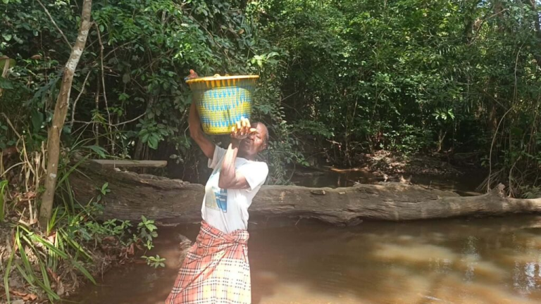 Liberia: Rich in Iron Ore and Timber, but Still Drinking from a Creek