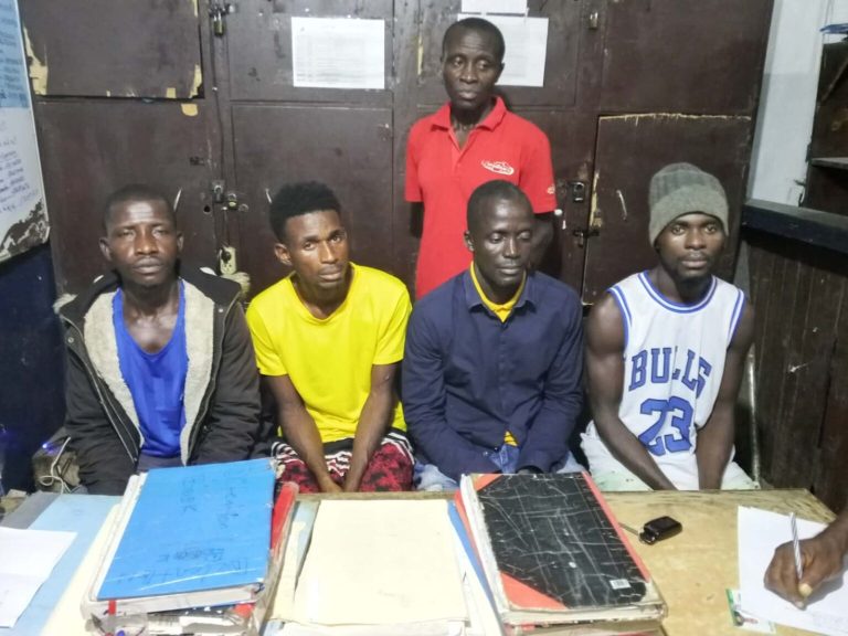 Liberia: Eight Arrested After Killing of Endangered Forest Elephant in Gbarpolu
