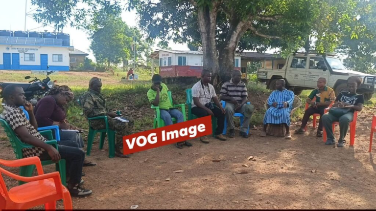 Liberia: Gbarpolu Superintendent Rejects FDA’s Sympathy Offer After Fatal Elephant Attack