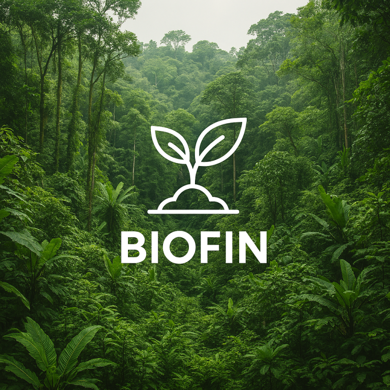 Liberia: Stakeholders Validate Key Reports to Strengthen Biodiversity Finance