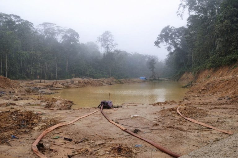 Liberia: Court Orders 28 Men to Clean Presidential Palace for Illegal Mining in Sapo National Park