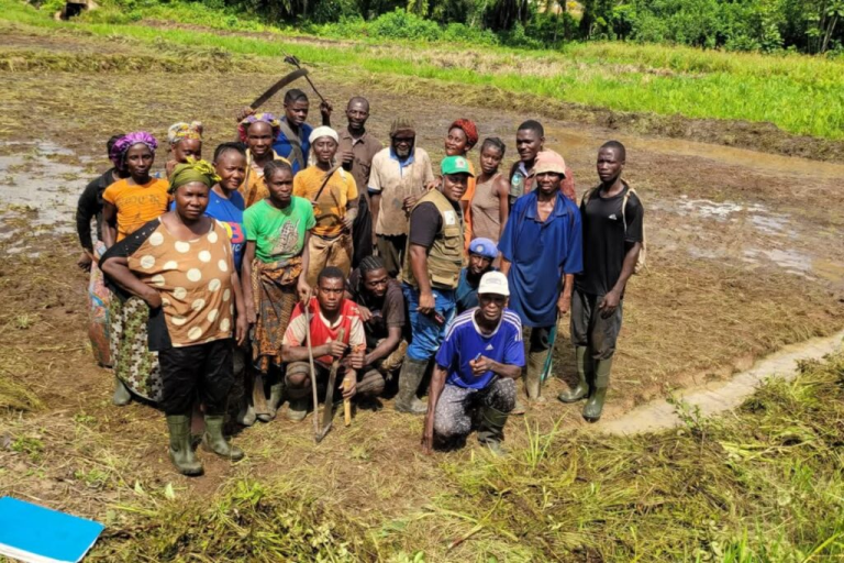 Liberia: Bartuogbeh Farmers Expand Lowland Rice Cultivation After Breakthrough Harvest in River