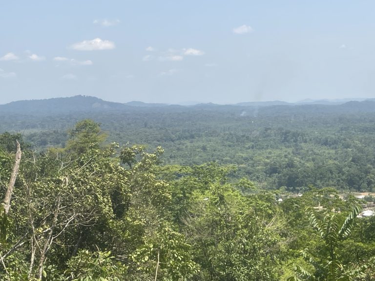 Liberia: FDA Explores Ecotourism Potential in Gola Park