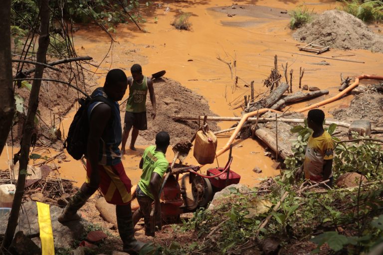Liberia: Gold Rush Ravages Wologizi Park