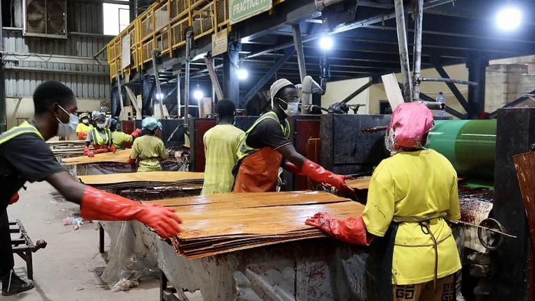 Liberia Shifting From Log Exports to Timber Processing