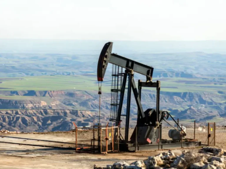 Liberia Renews Push for Onshore Oil Exploration In Highly Rated Robert Basin