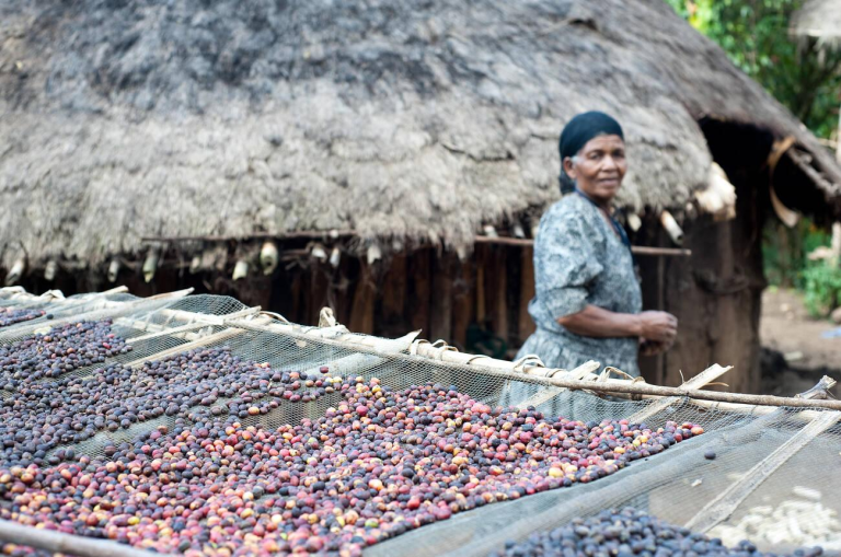 $60 Million Deal With Nigerian Firm Will Create 300,000 Jobs In Coffee Industry