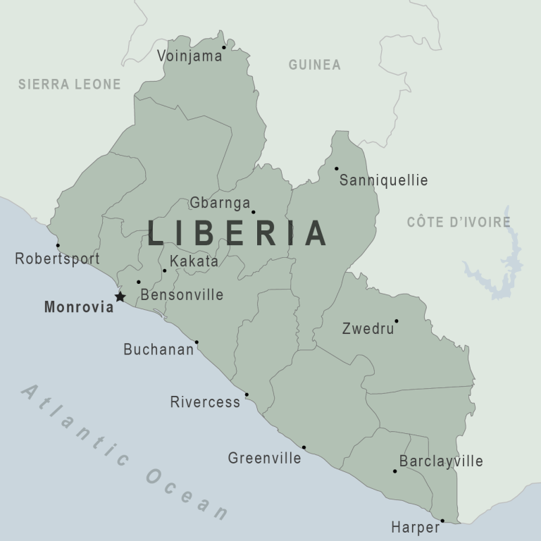Liberia: NPHIL Reports Yellow Fever Case in Grand Gedah County