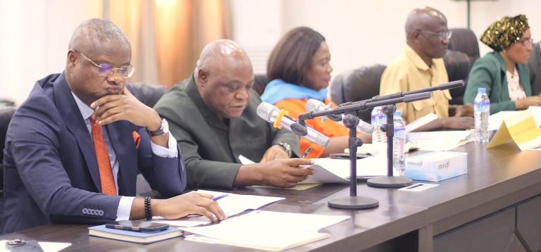 Liberia: Stakeholders Reaffirm Support for Inclusive Democracy