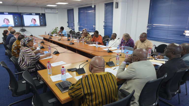 Partners Unite to Keep Liberia’s Democratic Momentum on Track
