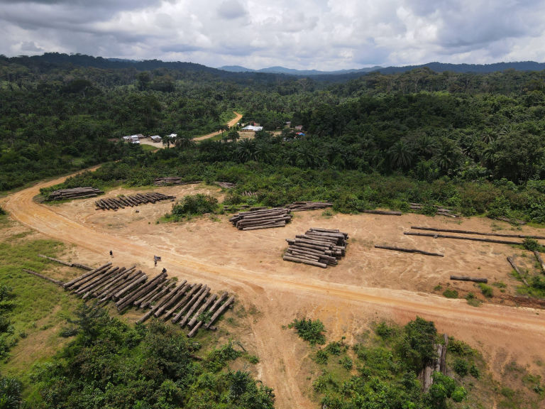 New Logging Deal for Gbarpolu After Failed Timber Contract